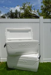 Cooler 150 Qt