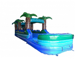 Tropical Wave Dual Lane Slip - N - Slide