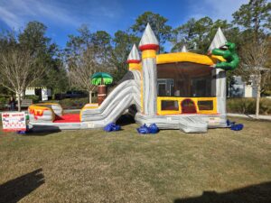 bounce house and water slide party rental setup in Trinity Florida backyard