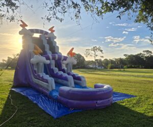 thunder inflatable water slide rental Odessa Florida backyard party