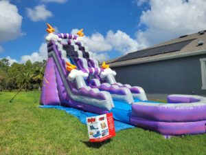 inflatable water slide rental Lutz Florida summer birthday party