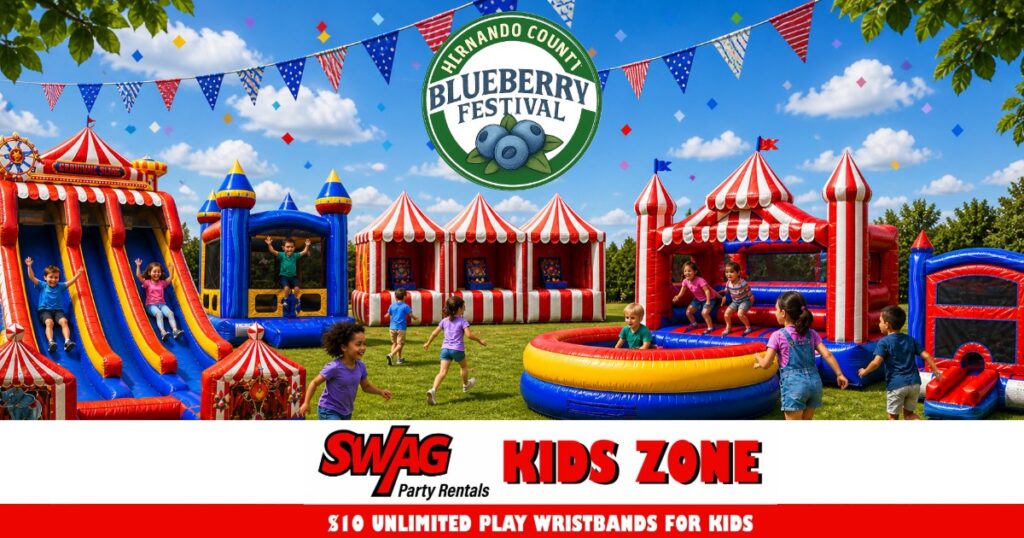 family fun kids zone blueberry festival brooksville fl