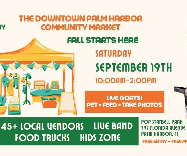 september downtown palm harbor market square SWAG KIDS' ZONES